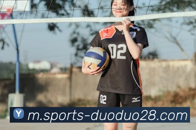 体育下注平台生态图