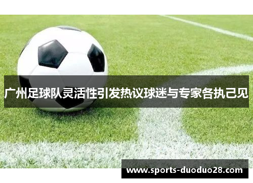 广州足球队灵活性引发热议球迷与专家各执己见