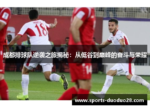 成都排球队逆袭之旅揭秘：从低谷到巅峰的奋斗与荣耀